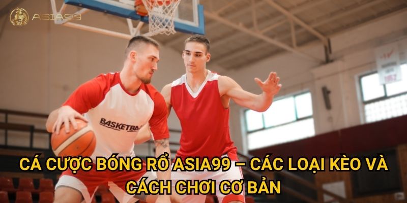Cá cược bóng rổ Asia99 có phù hợp cho người mới bắt đầu? 2 Cá cược bóng rổ Asia99 – Các loại kèo và cách chơi cơ bản