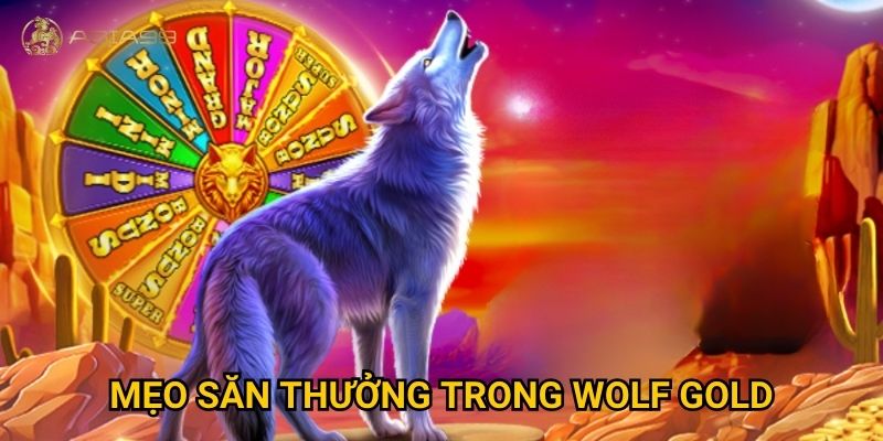 Wolf Gold Asia99 có mang lại jackpot khủng như quảng cáo? 3 Mẹo săn thưởng trong Wolf Gold